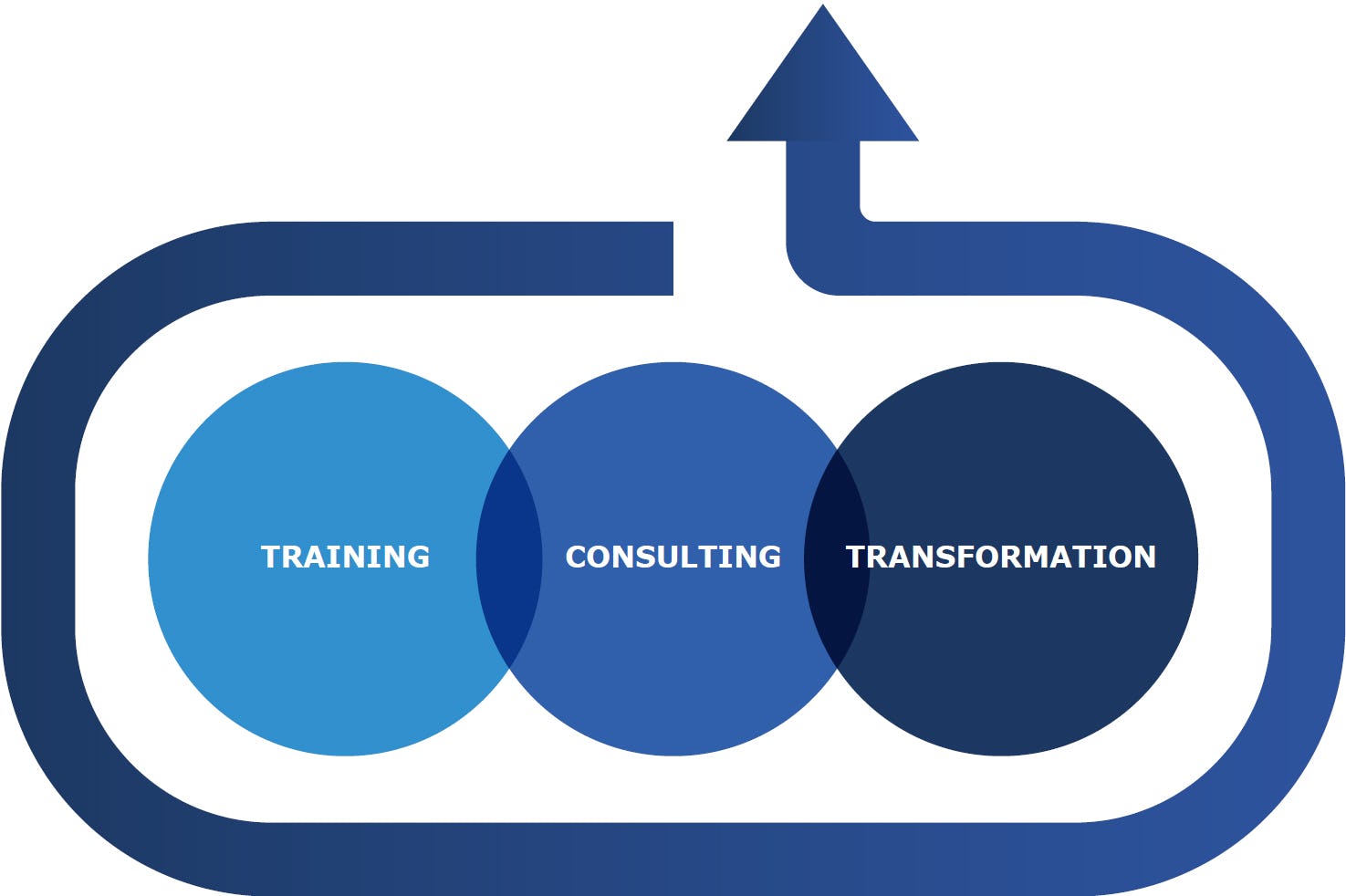 Training Chart